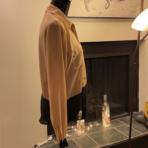 Sheer Blouse - Picture 4 of 13